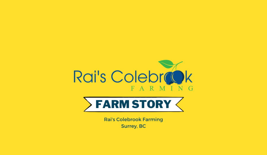 Rai's Colebrook Farming